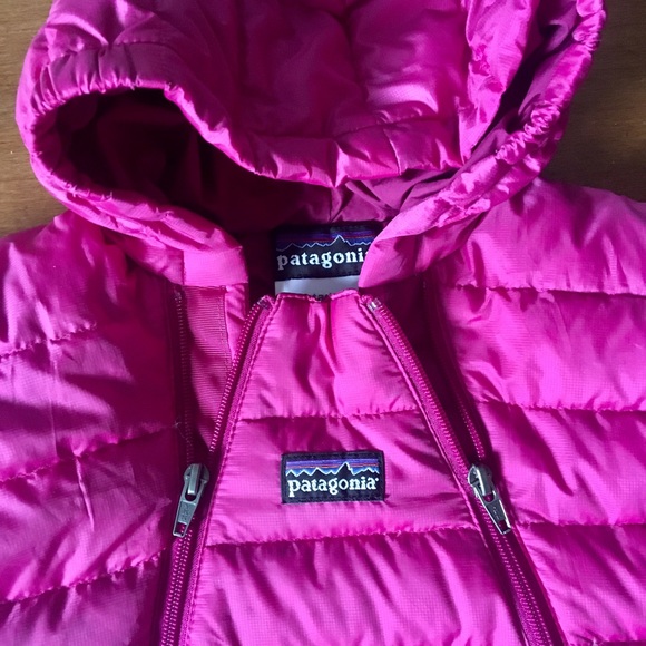 Patagonia Down Bunting - Picture 2 of 3